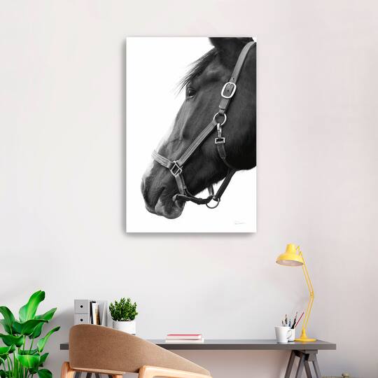 Lumaprints In Halter Canvas Giclée Art